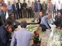 گزارش تصویری مراسم غبار روبی مزار شهدا